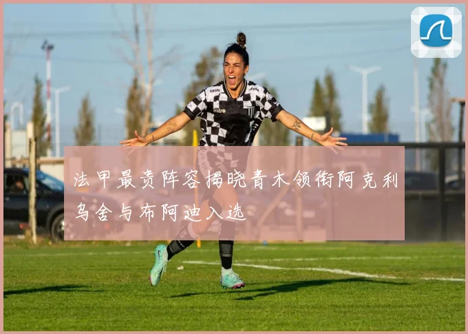 法甲最贵阵容揭晓青木领衔阿克利乌舍与布阿迪入选