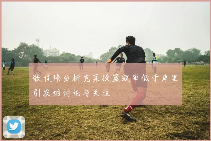 张佳玮分析克莱投篮效率低于库里引发的讨论与关注